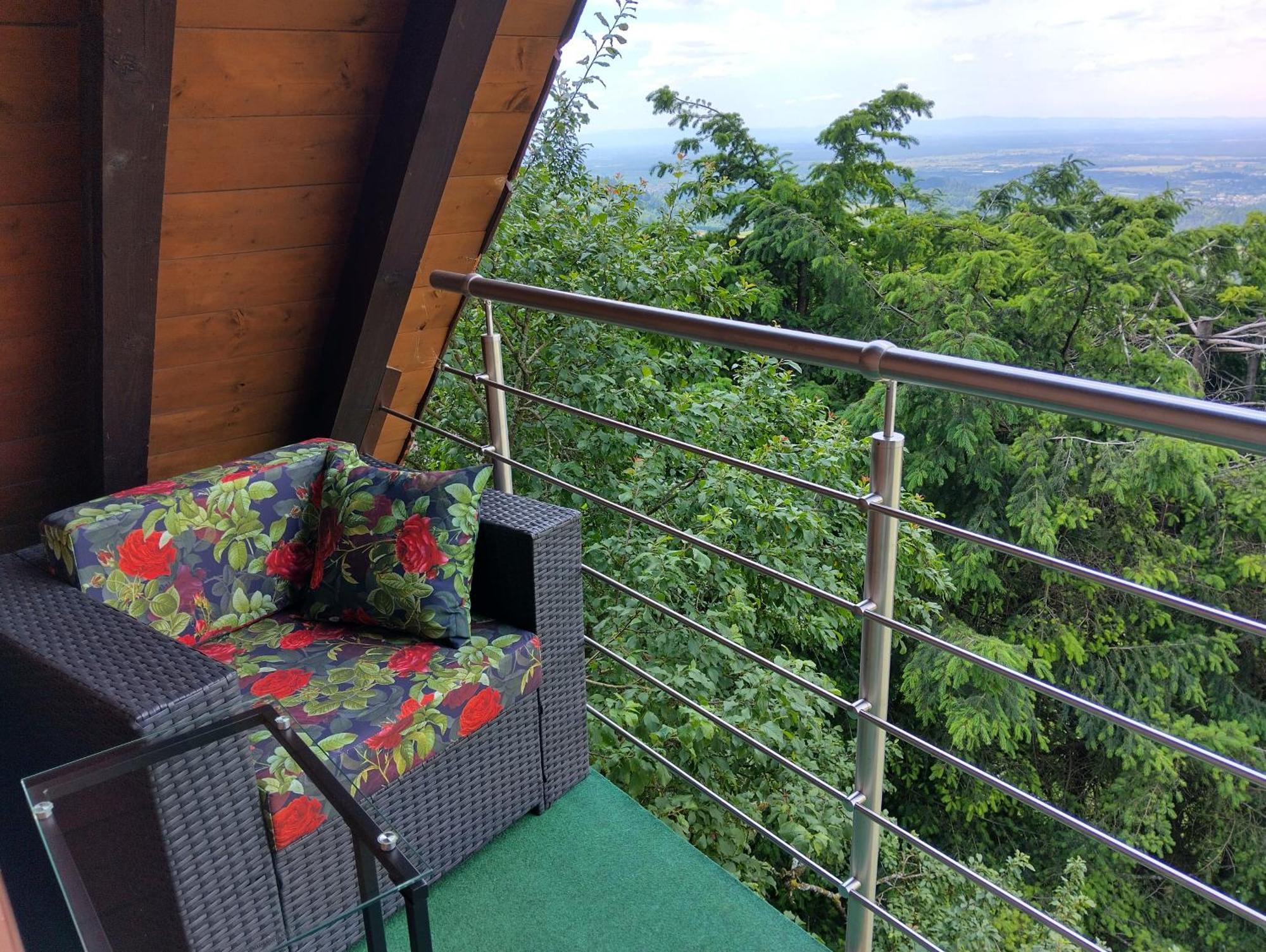 Haus "Guck - Ins - Tal" Διαμέρισμα Sasbachwalden Εξωτερικό φωτογραφία