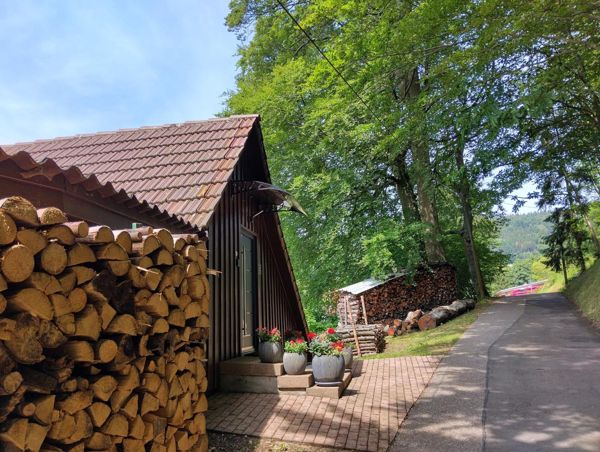 Haus "Guck - Ins - Tal" Διαμέρισμα Sasbachwalden Εξωτερικό φωτογραφία